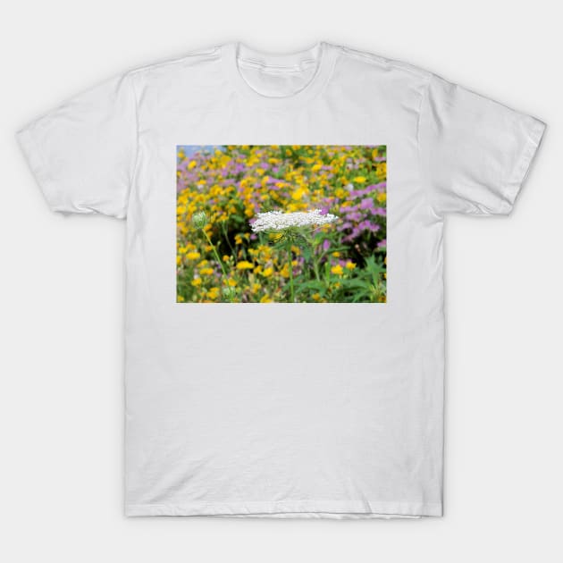 Queen Anne's Lace T-Shirt by bgaynor